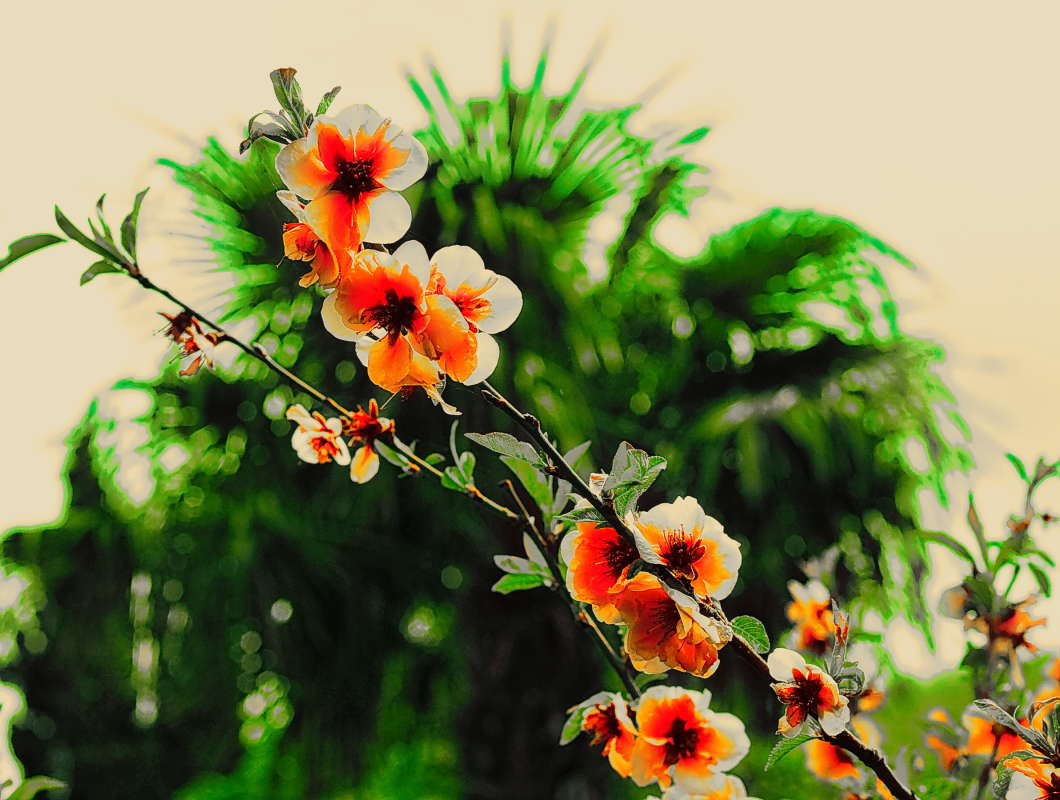 �������� �����.. ����� vladimir tamoza �� PhotoGeek.ru #����� �������������� #��������� #������ #����� ��������