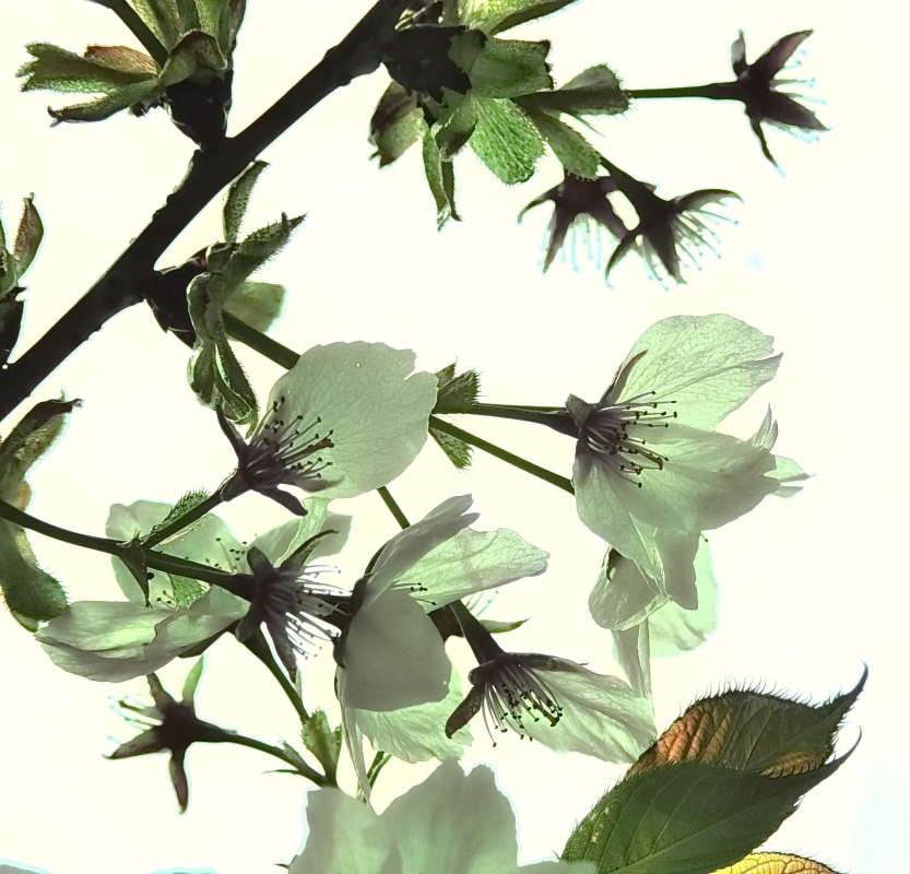 ****** ����� vladimir tamoza �� PhotoGeek.ru #����� �������������� #��������� #������