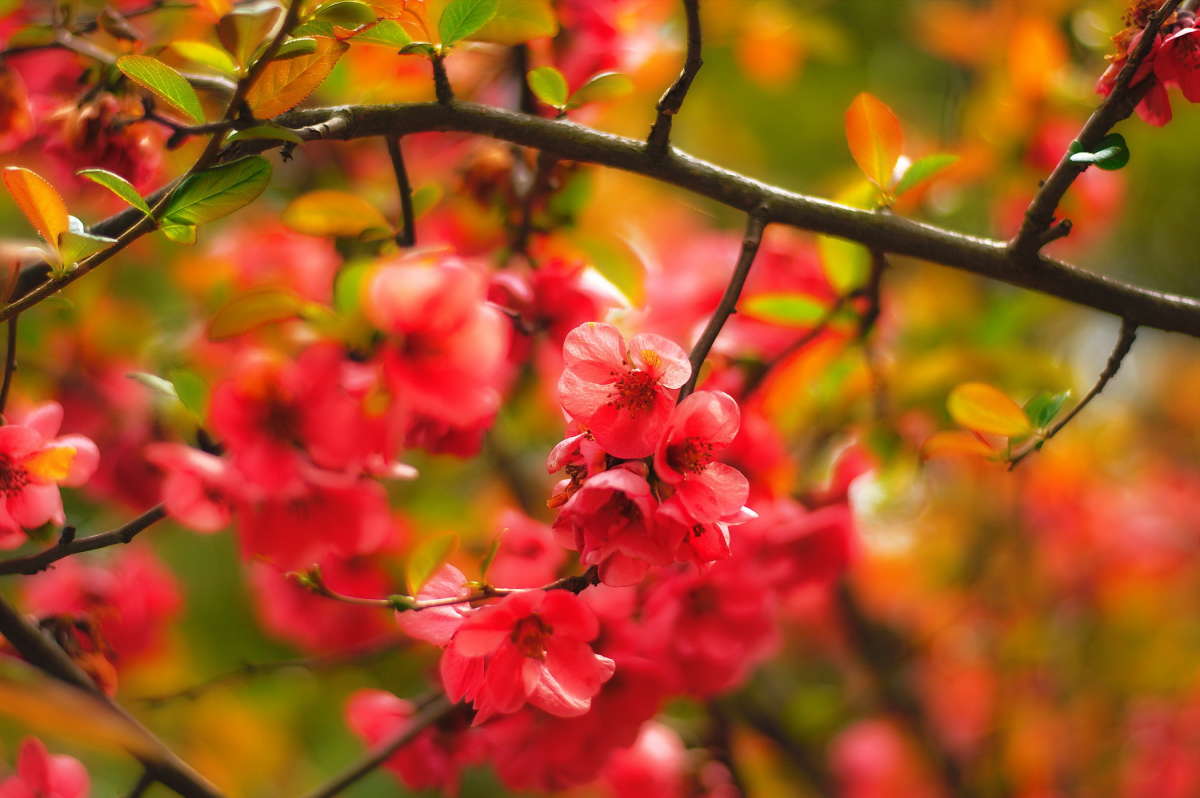 �������� ���� � �����..(?) ����� vladimir tamoza �� PhotoGeek.ru #������ ��� ������� #����� �������������� #��������� #������ #����� ��������