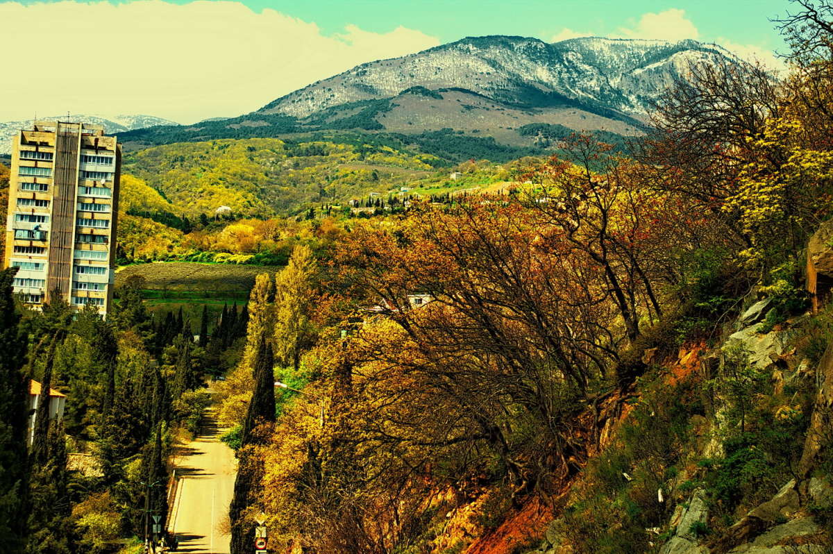 ������ �����.. ����� vladimir tamoza �� PhotoGeek.ru #������ ��� ������� #��������� #������