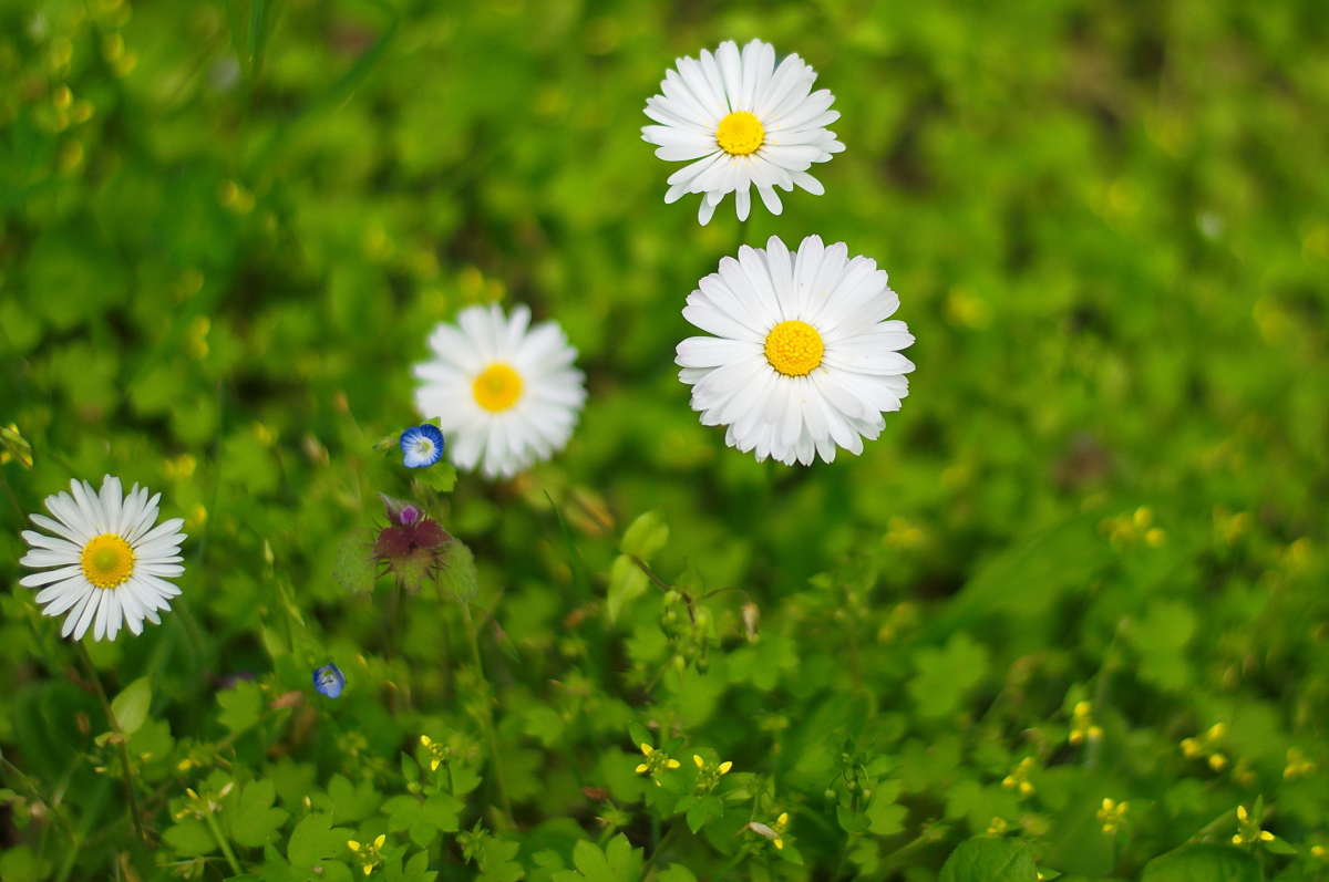 ... ����� vladimir tamoza �� PhotoGeek.ru #������ ��� ������� #����� �������������� #��������� #������