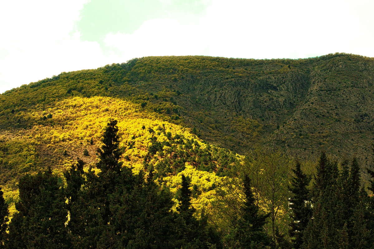 ... ����� vladimir tamoza �� PhotoGeek.ru #������ ��� ������� #��������� #������