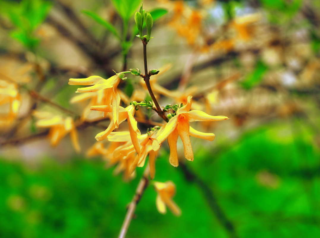 ... ����� vladimir tamoza �� PhotoGeek.ru #����� �������������� #��������� #������