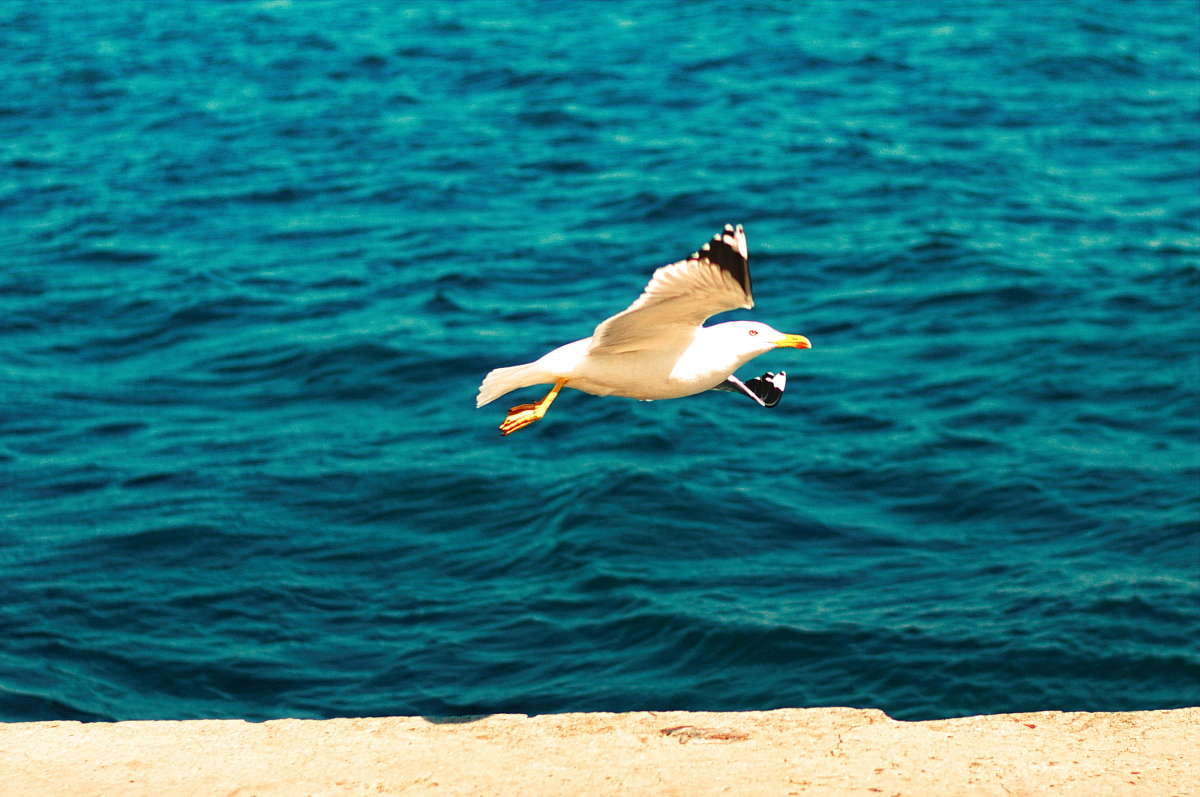 ... ����� vladimir tamoza �� PhotoGeek.ru #�������� ��� #������ ��� ������� #��������� #������