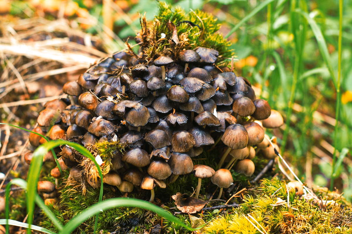 ������� ���������.... ����� vladimir tamoza �� PhotoGeek.ru #������ ��� ������� #����� �������������� #��������� #������