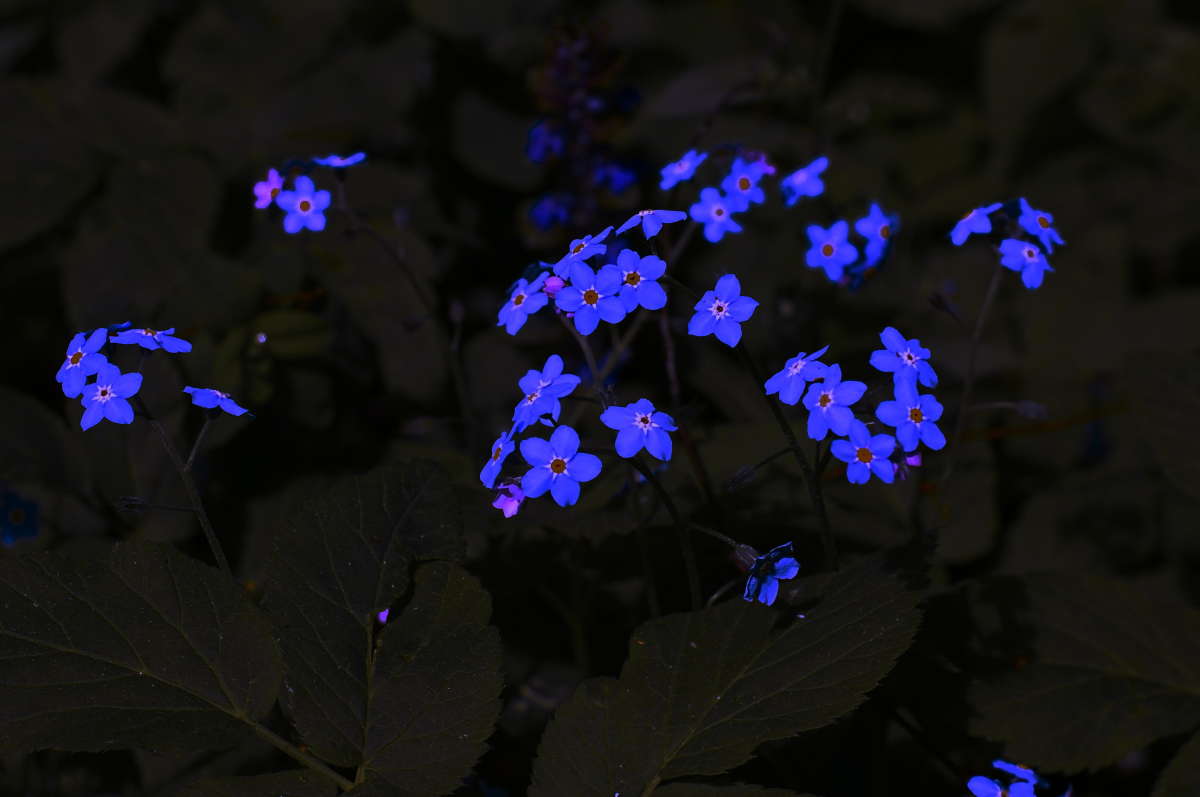 ��������� (��� ������ ���� ����) ����� vladimir tamoza �� PhotoGeek.ru #��������� #������ #�����