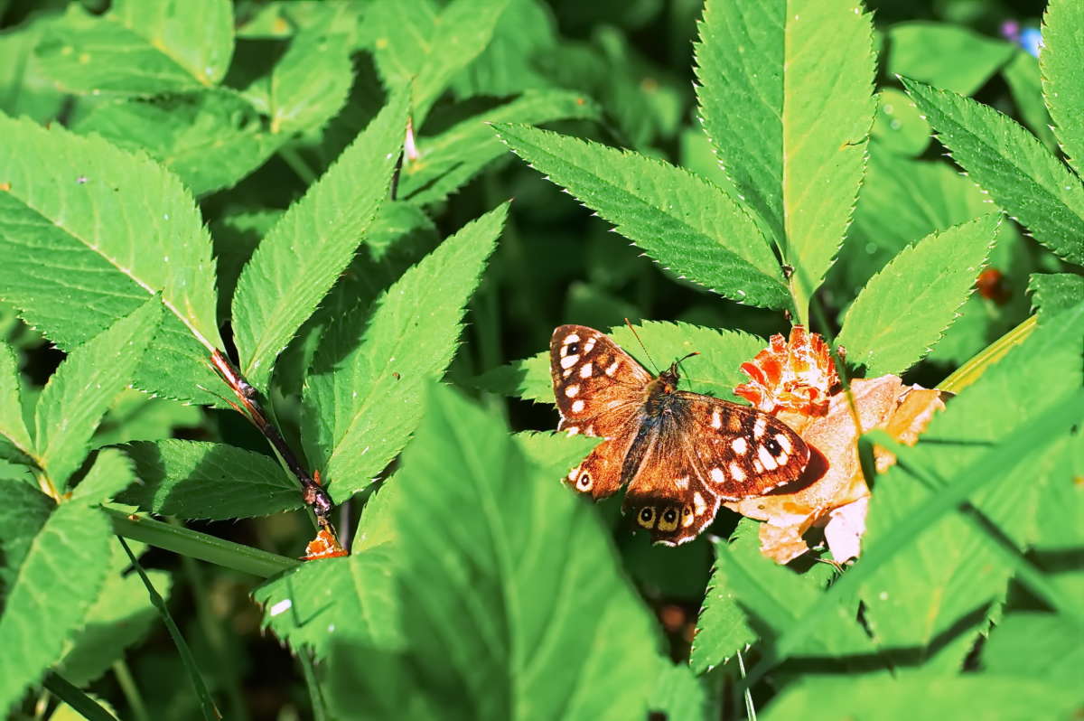 �������, ��� ������ ���� ����... ����� vladimir tamoza �� PhotoGeek.ru #������ ��� ������� #����� ��� ��� ��������� #��������� #������