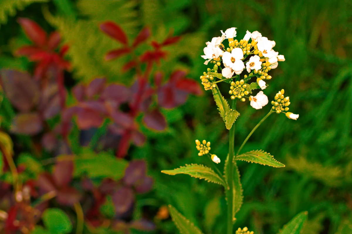 �������� ������... (� ������,.. ������ �����) ����� vladimir tamoza �� PhotoGeek.ru #����� �������������� #��������� #������