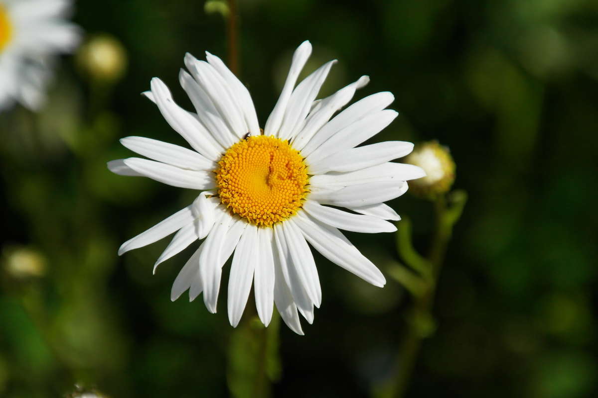 ������� ����� vladimir tamoza �� PhotoGeek.ru #��������� #������