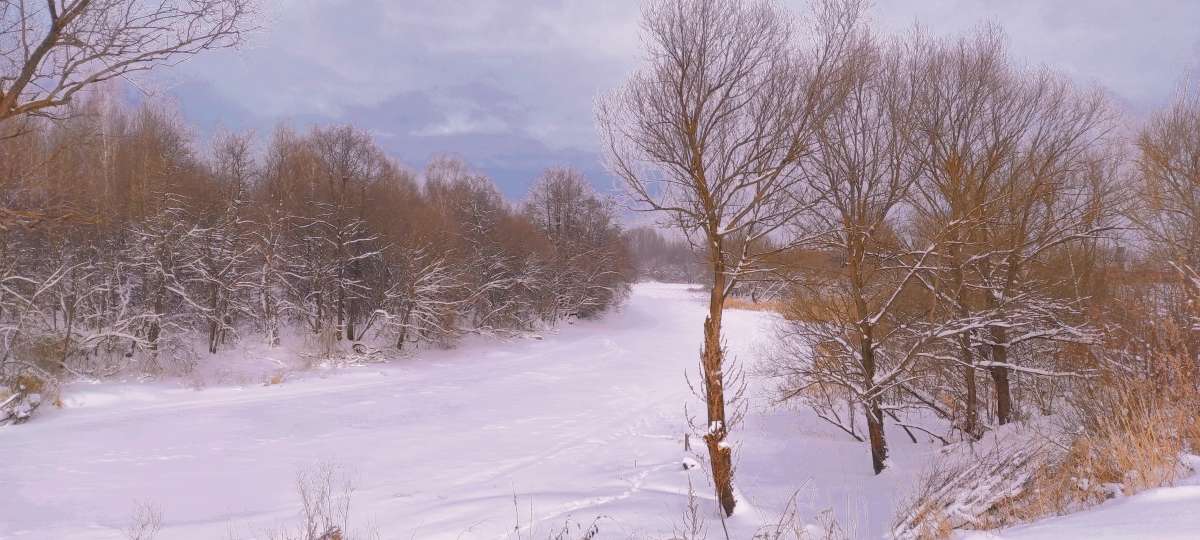 ������ �����.. ����� vladimir tamoza �� PhotoGeek.ru #������ ��� �������