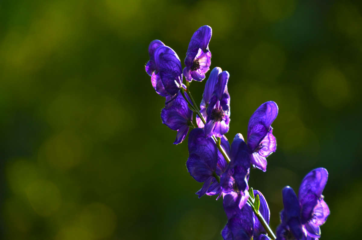 ... ����� ���� ����������� �� PhotoGeek.ru #������ ��� ������� #����� ��������������