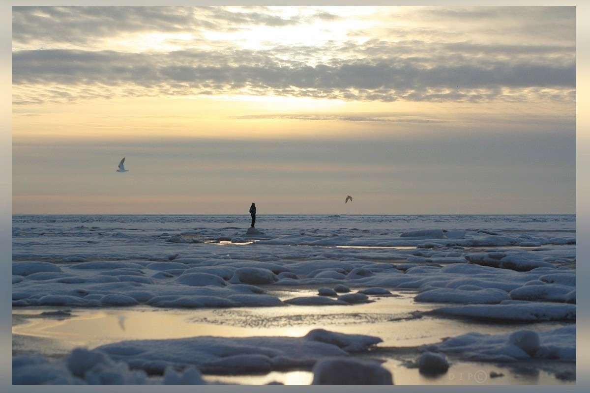 ������������� ����� ����� ������� �������� �� PhotoGeek.ru #������ ��� �������