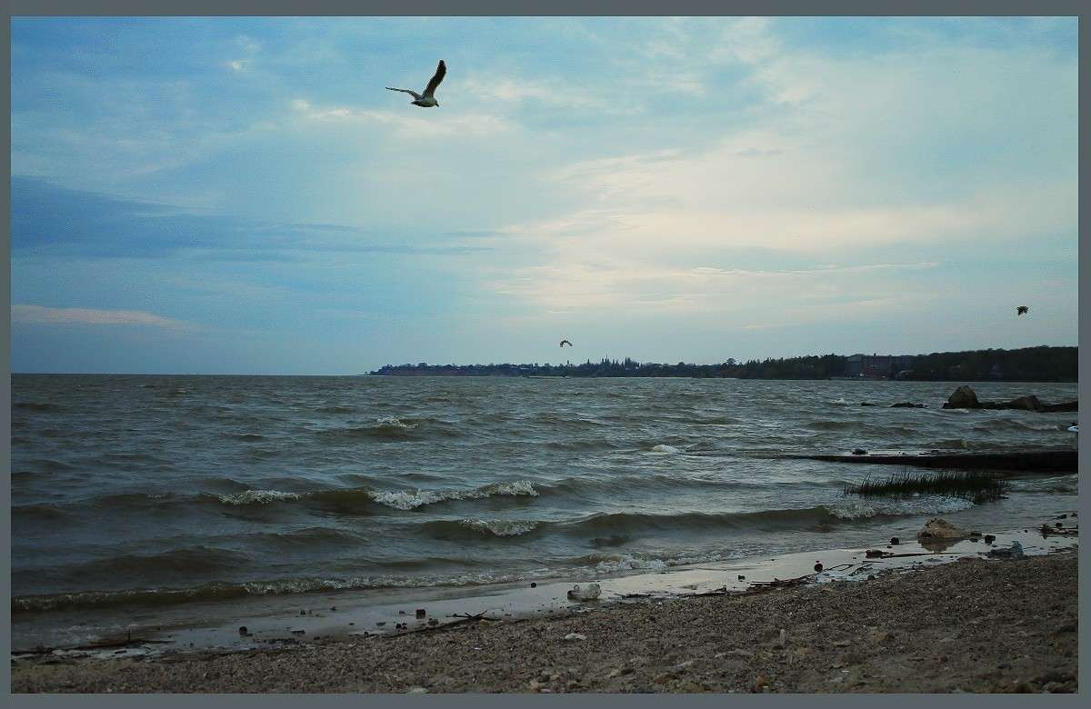 31 ��� 2014 ����� ������� �������� �� PhotoGeek.ru #������ ��� �������