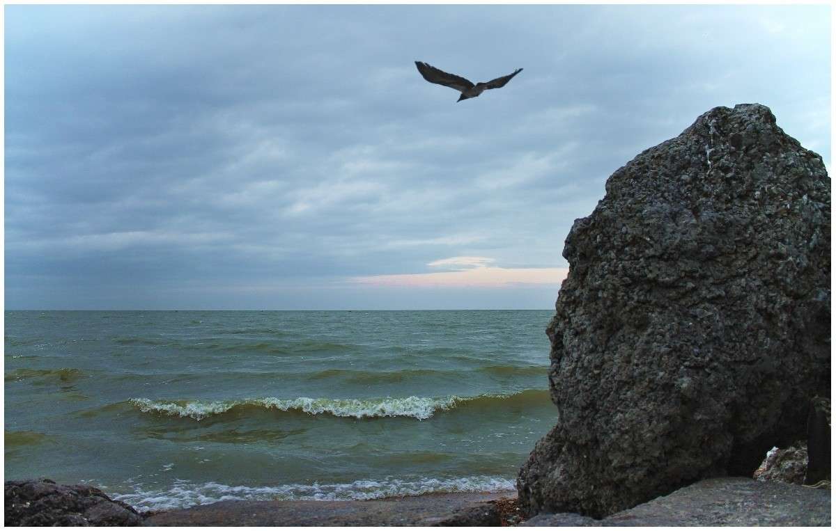 31 ��� 2014 ����� ������� �������� �� PhotoGeek.ru #������ ��� �������