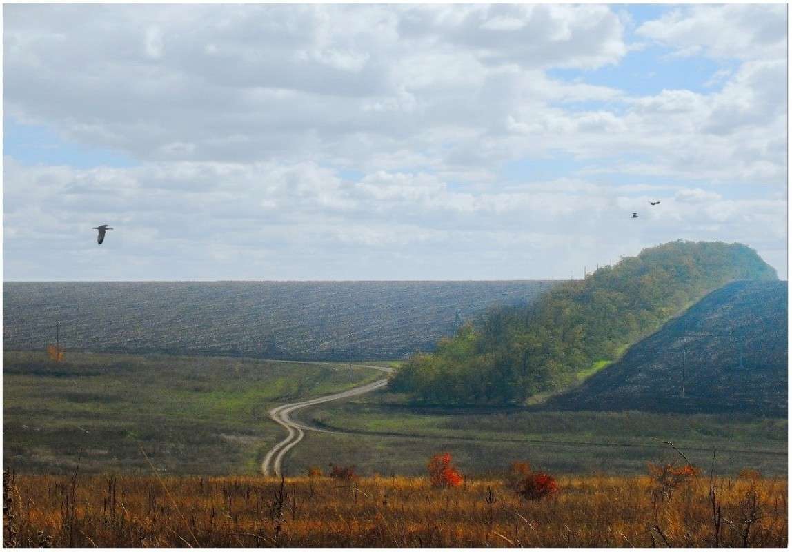 ������� ������� ����� ������� �������� �� PhotoGeek.ru #������ ��� �������