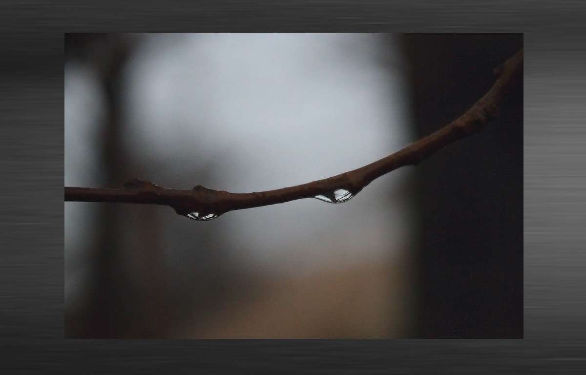 �������� ����� ����� ����� ������� �������� �� PhotoGeek.ru #������ ��� �������