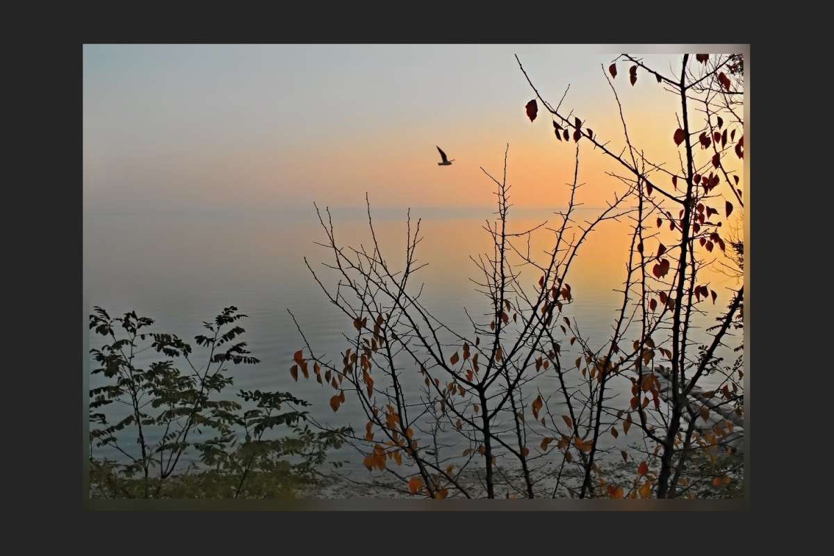 ������� ����� ����� ������� �������� �� PhotoGeek.ru #������ ��� �������