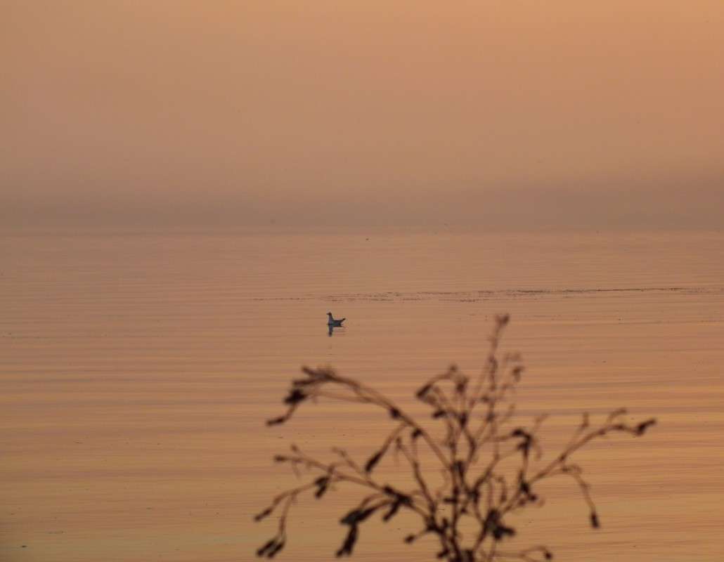 ��������� ����� ������ ����� ������� �������� �� PhotoGeek.ru #������ ��� �������