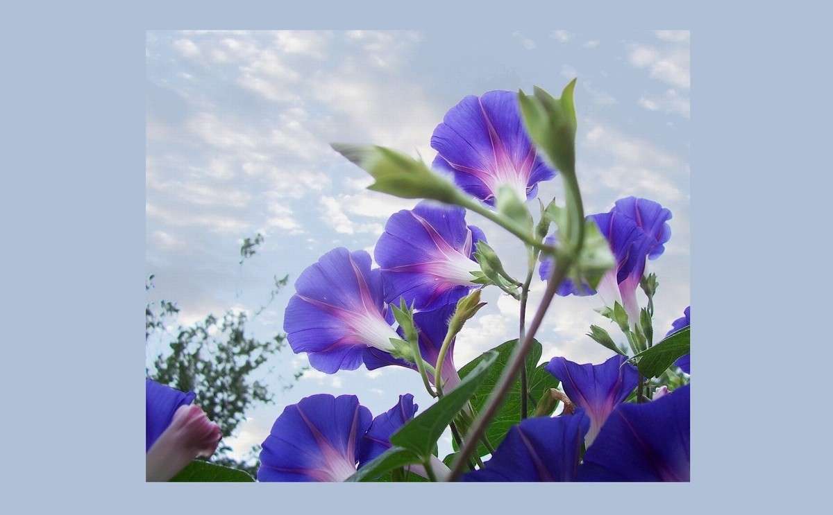 ������������� ������ ����� ������� �������� �� PhotoGeek.ru #������ ��� �������