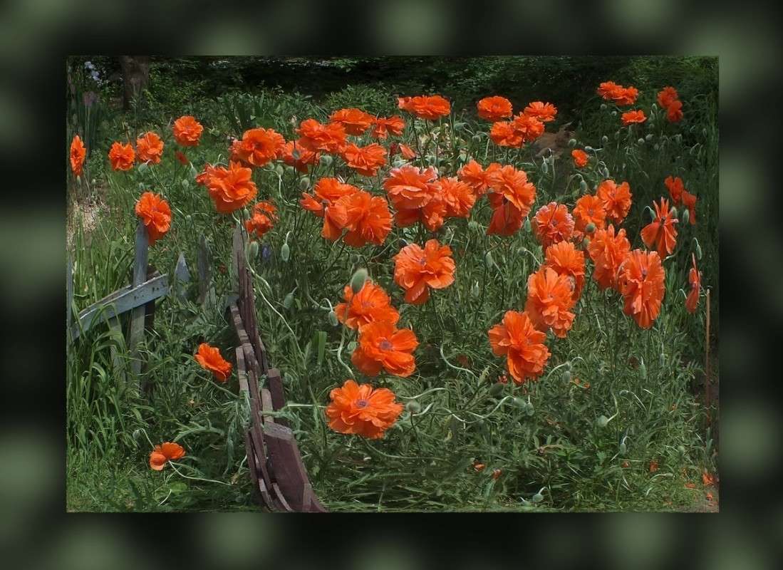 ������ ���������� ����� ������� �������� �� PhotoGeek.ru #������ ��� �������