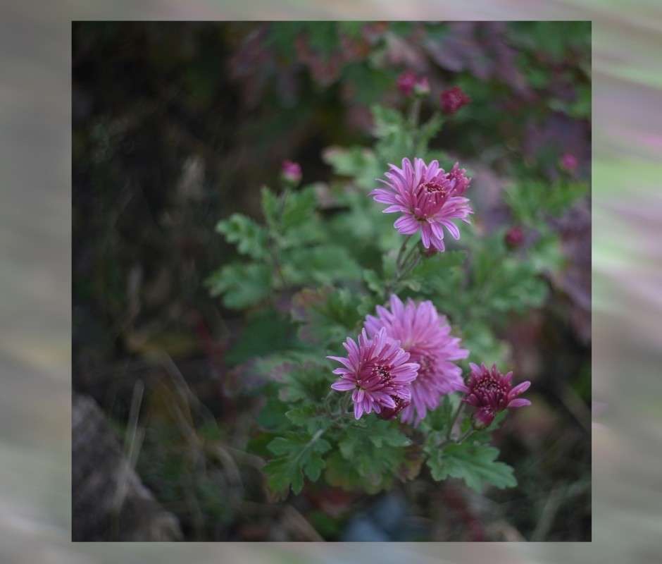 ������ ���� ����� ������� �������� �� PhotoGeek.ru #������ ��� �������