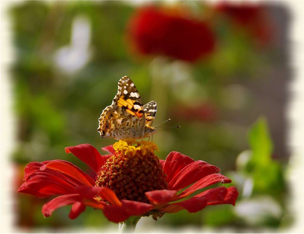 ������� ������ ����� ������� �������� �� PhotoGeek.ru #������ ��� �������