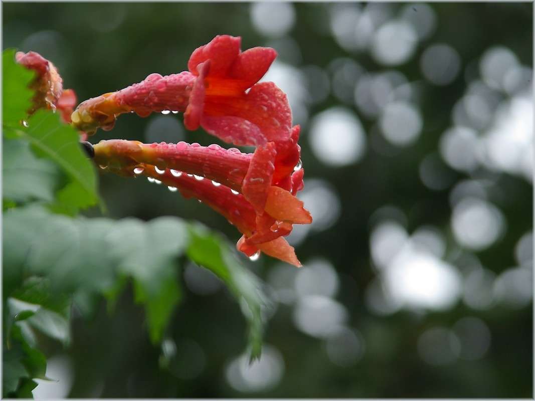 ������� ��� ������� ����� ����� ������� �������� �� PhotoGeek.ru #������ ��� �������