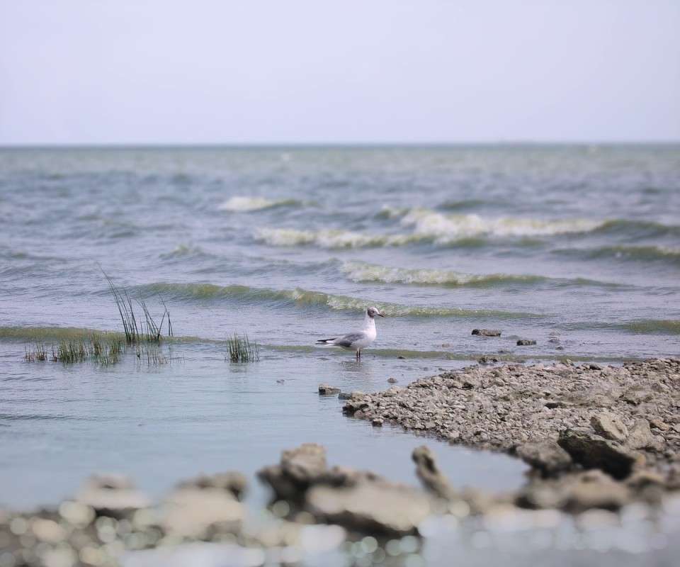 �������� ����� ����� ������� �������� �� PhotoGeek.ru #�������� ���