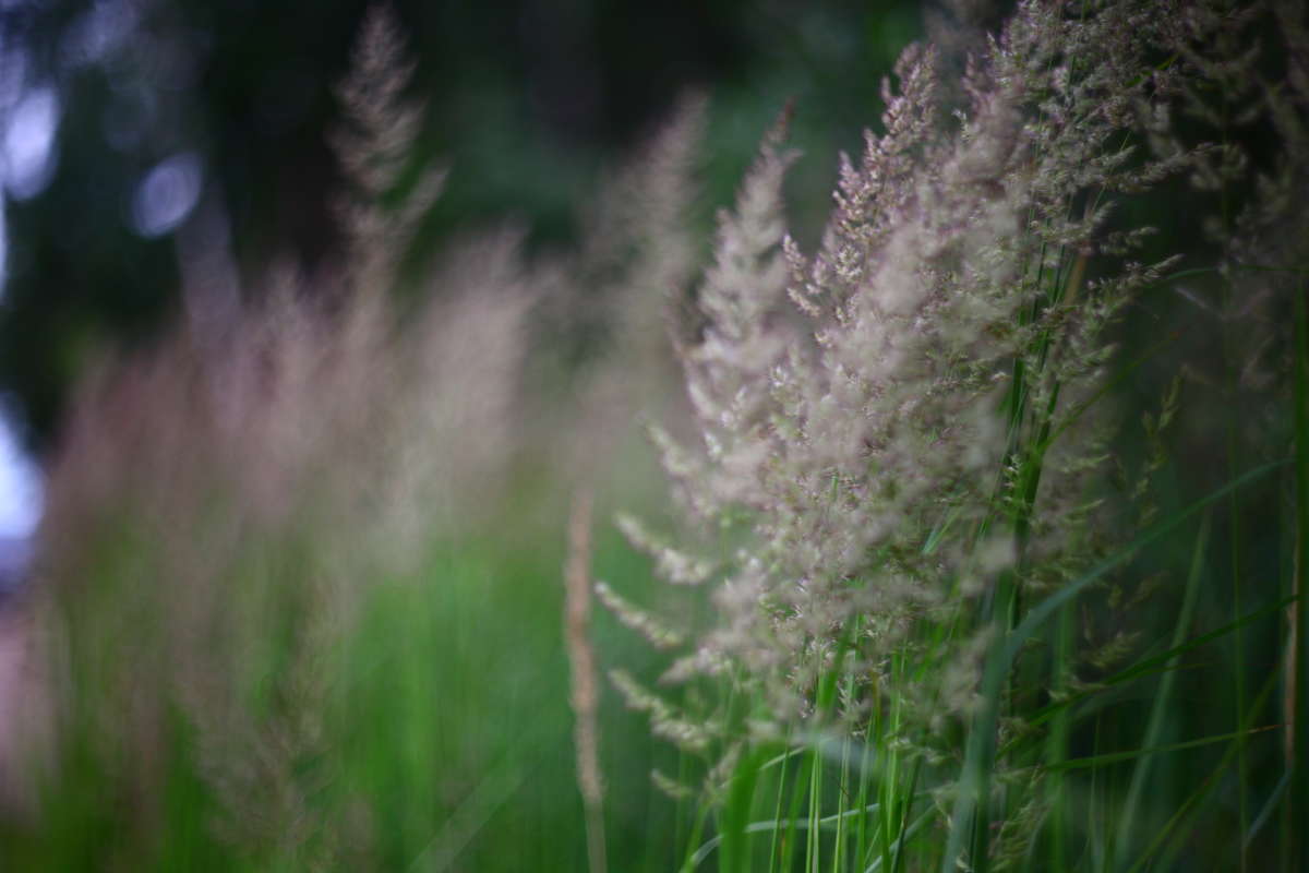 ... ����� Vladimir Kuvatov �� PhotoGeek.ru #������ ��� �������