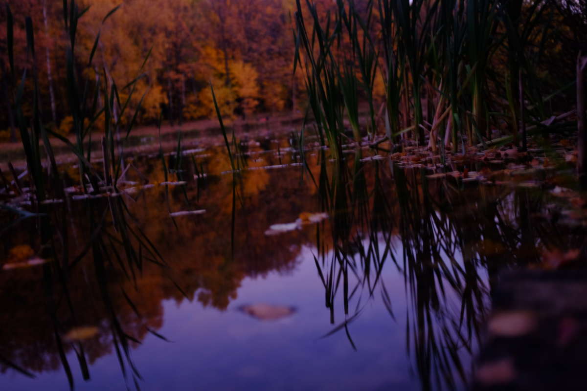 ... ����� Vladimir Kuvatov �� PhotoGeek.ru #������ ��� �������