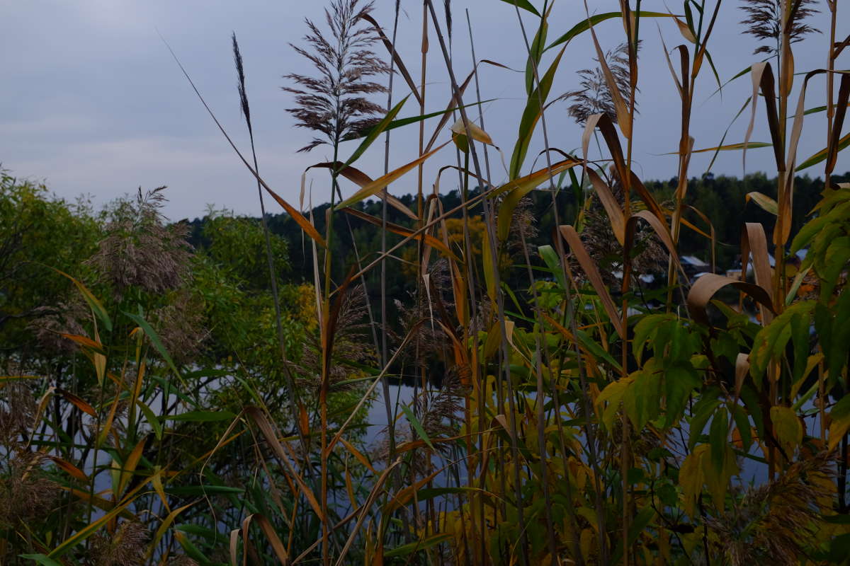 ... ����� Vladimir Kuvatov �� PhotoGeek.ru #������ ��� �������