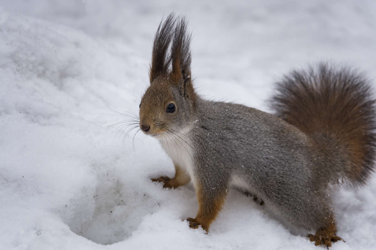 ���� ����� �����, ��� ��� ��������.... ����� �������� ������ �� PhotoGeek.ru #�������� ���