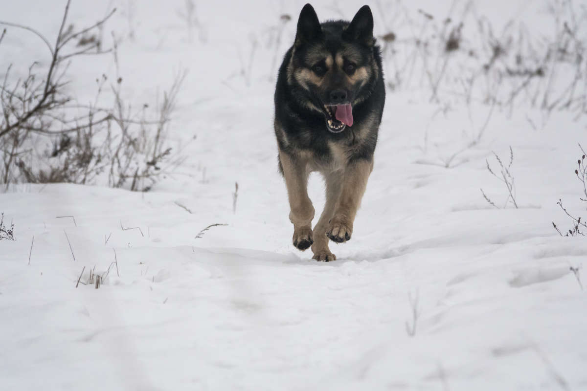 �� ������..... ����� �������� ������ �� PhotoGeek.ru #�������� ���