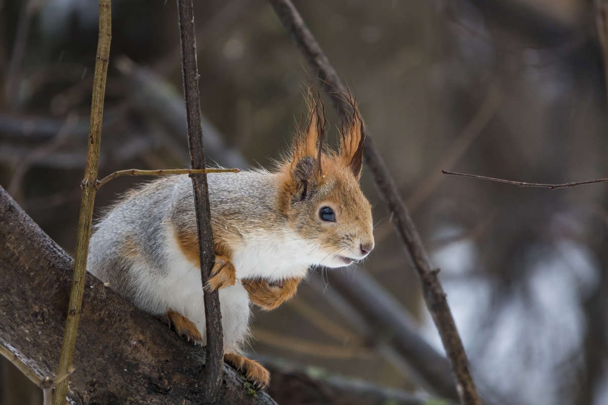 �� ������� ����� �����? �������� ���.... ����� �������� ������ �� PhotoGeek.ru #�������� ���