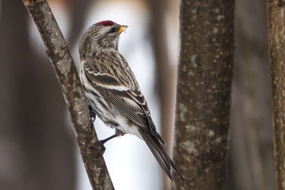 ������� ����� �������� ������ �� PhotoGeek.ru #�������� ���