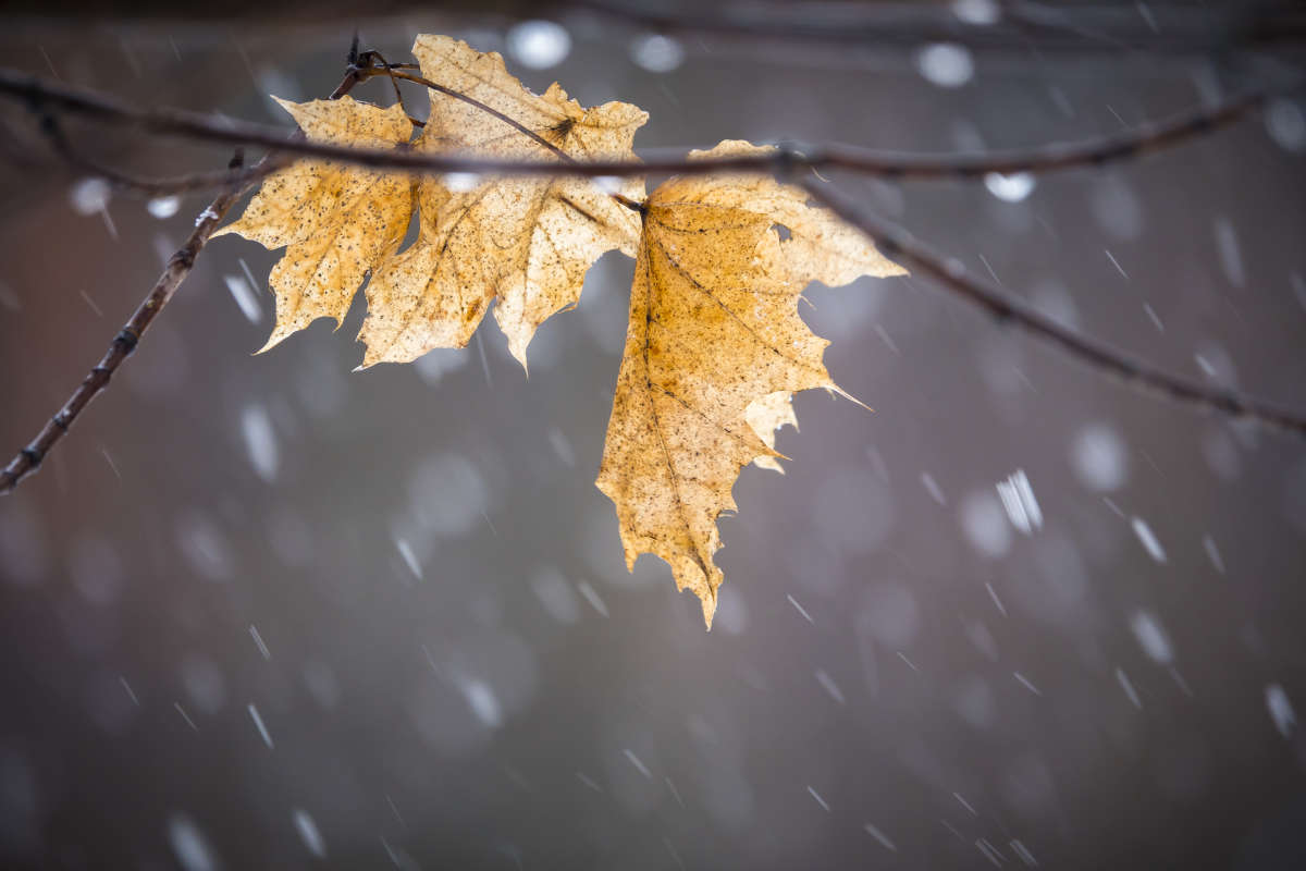 ����� ����� ����� �������� ������ �� PhotoGeek.ru #������ ��� ������� #����� ��������������