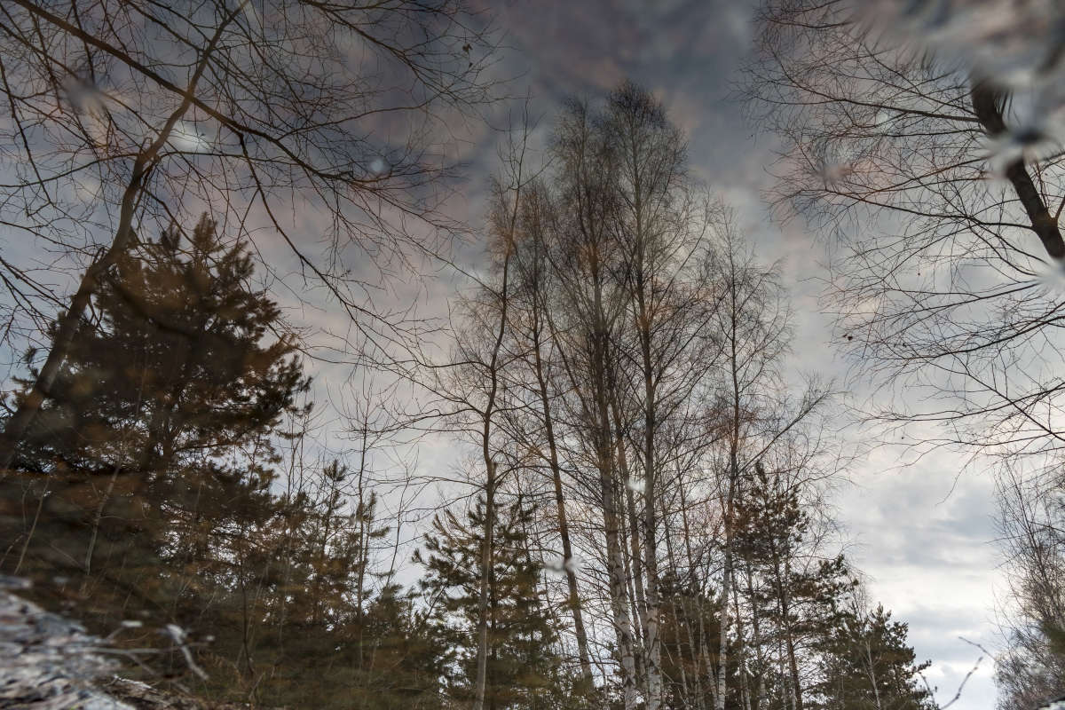 ��������� ����� �������� ������ �� PhotoGeek.ru #������ ��� �������