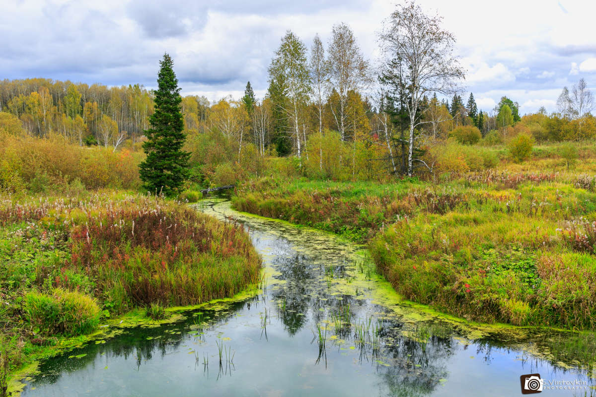 ����� �������� ��� ����� ������ ��������� �� PhotoGeek.ru #������ #����� #������� ����� #������� #��� #������ #��� #���� #����� #������ #������� #����