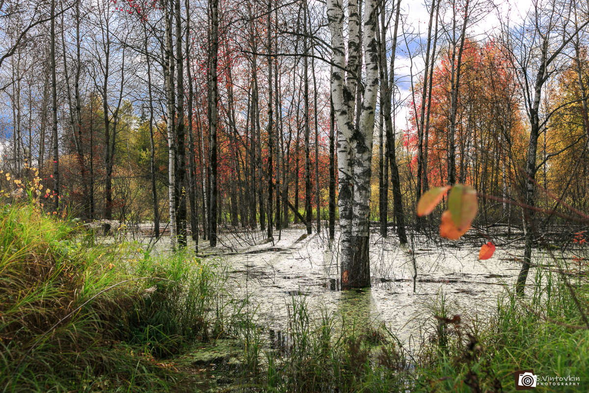 �������� ��� ����� ������ ��������� �� PhotoGeek.ru #������ #������ ��� ������� #����� #����� #������� ����� #��� #��� #����� #���� #�����