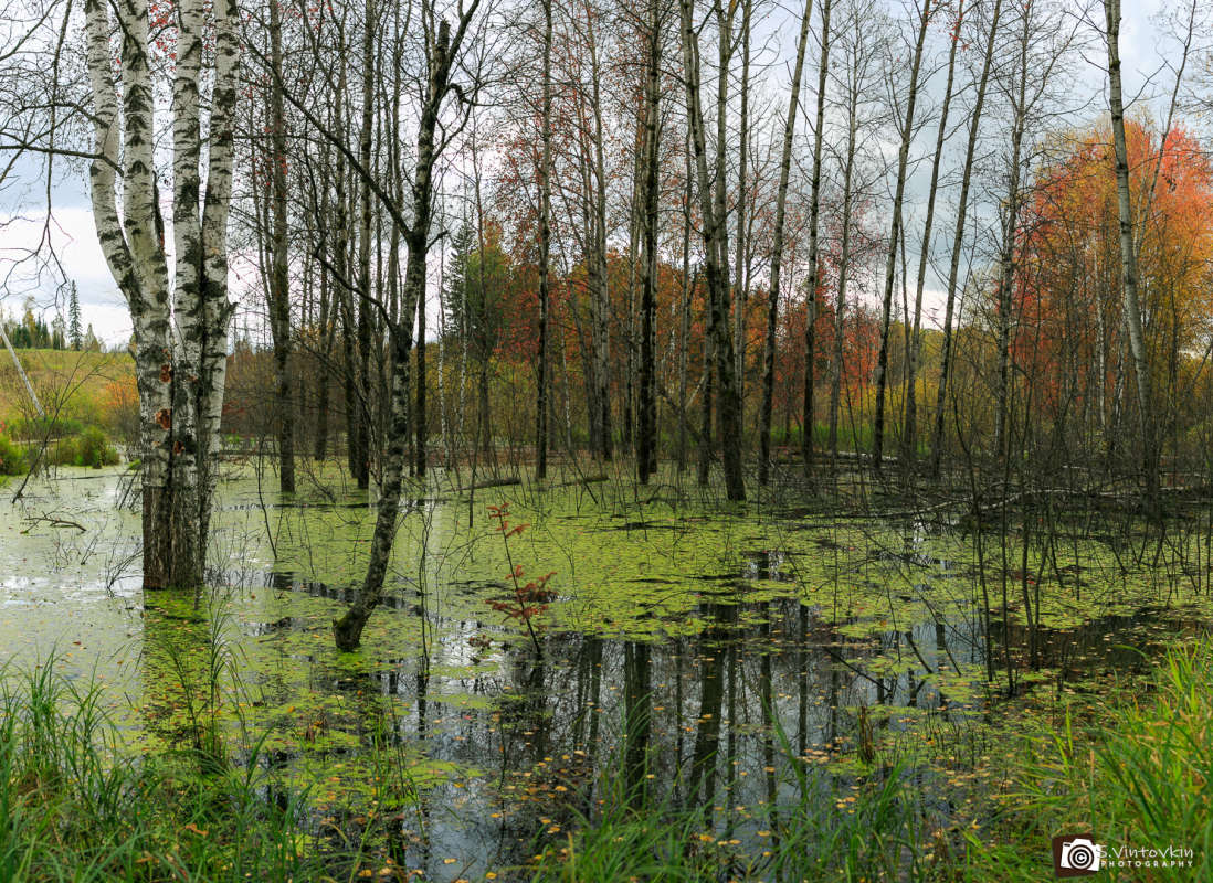 �������� ��� ����� ������ ��������� �� PhotoGeek.ru #����� #����� #������� ����� #������� #��� #����� #������ #������� #���� #����� #�����