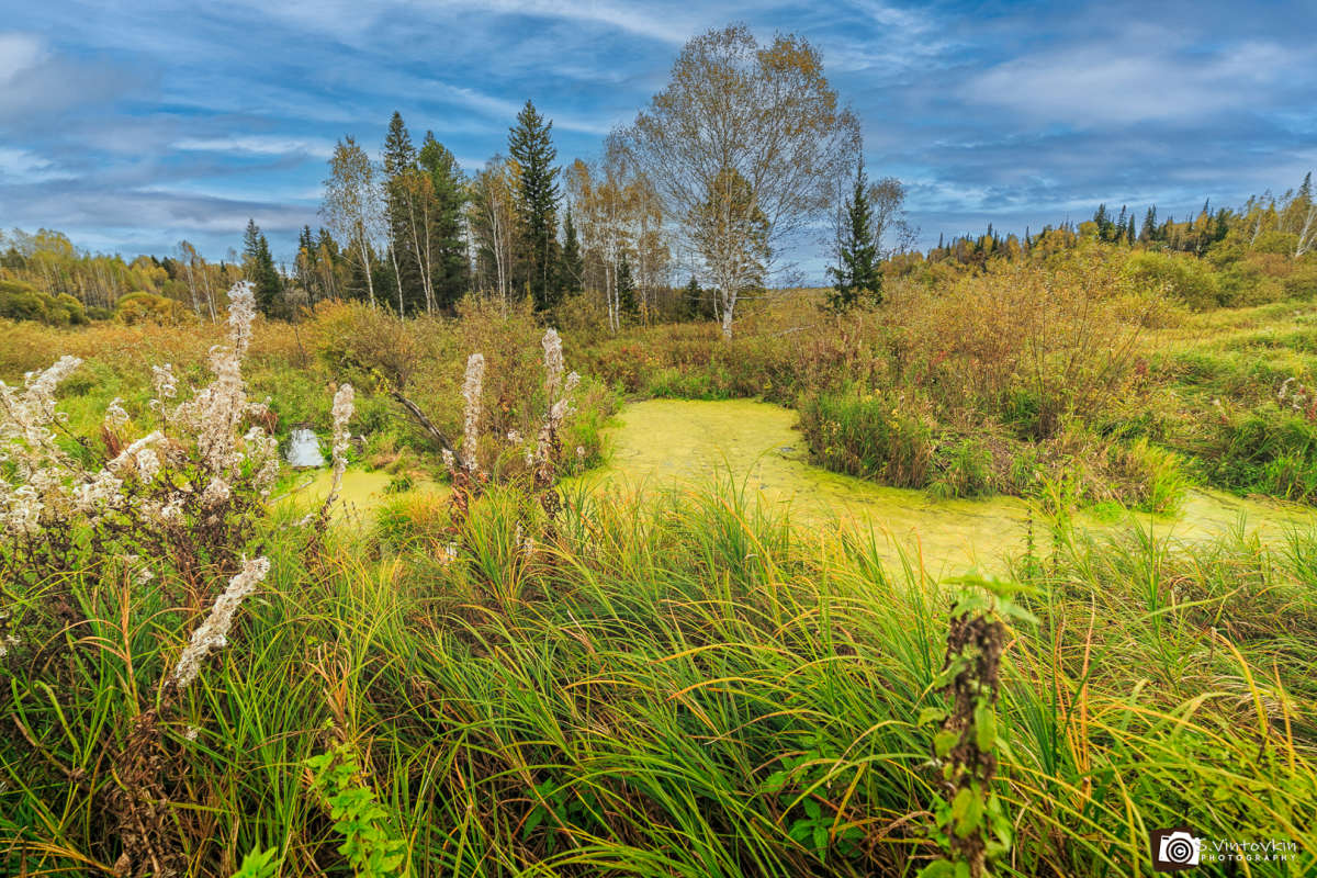 ����� � ��������� ���� ����� ������ ��������� �� PhotoGeek.ru #�������� ��� #������ #������� ����� #��� #������ #��� #���� #����� #������ #�������