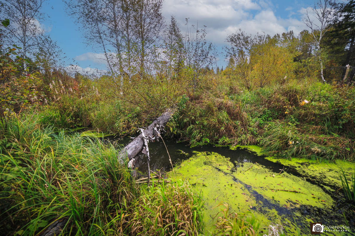 ����� � ��������� ���� ����� ������ ��������� �� PhotoGeek.ru #������ #�������� ��� #������ ��� ������� #�������� ��� #������� ����� #��� #���� #����� #�������� #���� #����������� #���� #������ #�������� #���������� #�������
