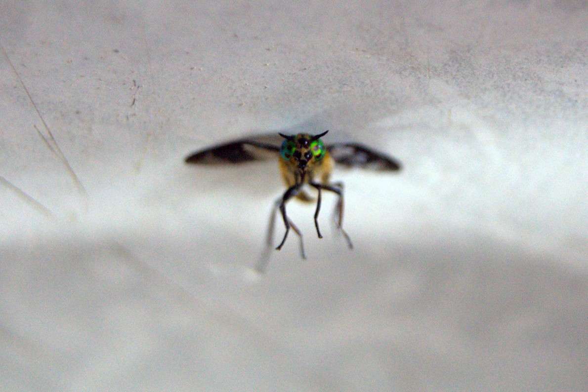 ... ����� ����� ���������� �� PhotoGeek.ru #����� #�������� ���