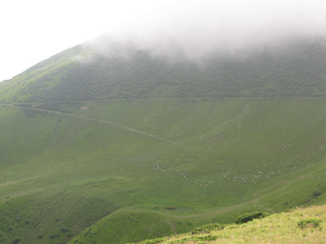 ���� ����� ��������� �������� �� PhotoGeek.ru #������ ��� �������