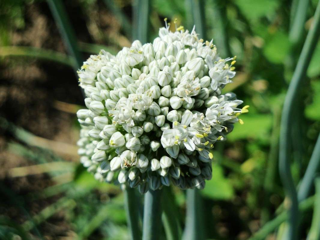 ... ����� ��������� �������� �� PhotoGeek.ru #����� #����� ��������������