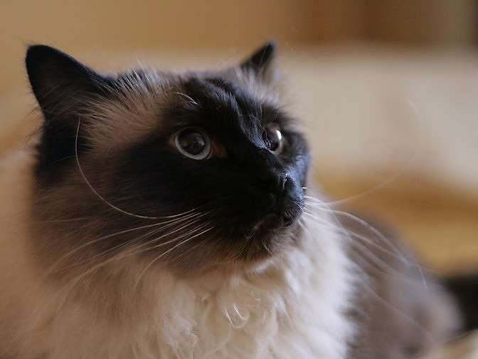 ... ����� Victoria Rubtsova �� PhotoGeek.ru #�������� ��� #�������� ���