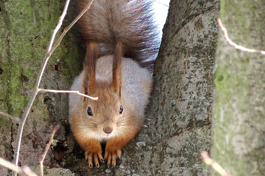 ������ ���� ����� �������  �� PhotoGeek.ru #�������� ���