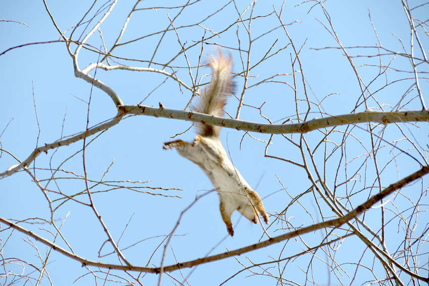 ���������� ����� �������  �� PhotoGeek.ru #�������� ���