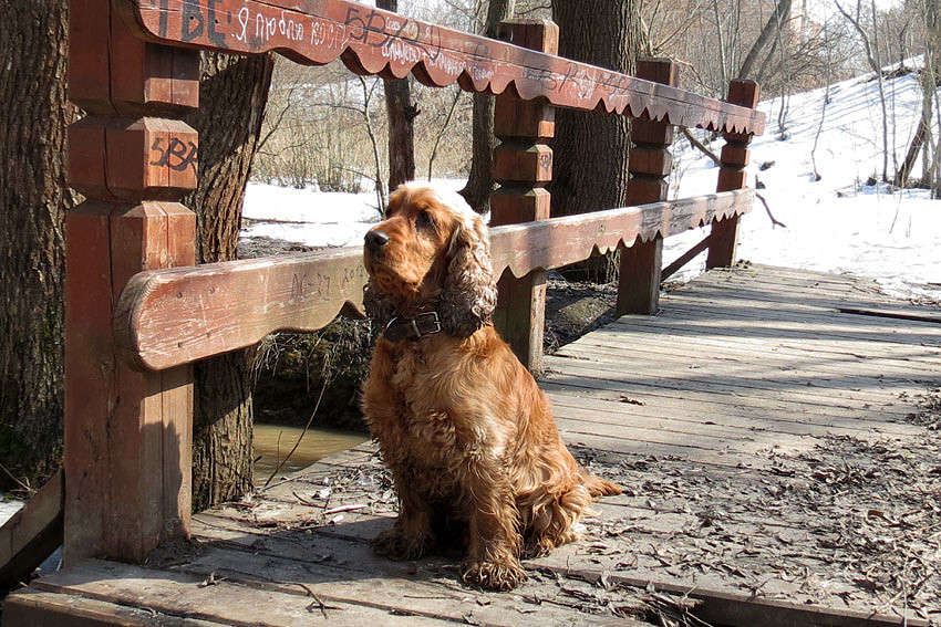 �������� ����� �������  �� PhotoGeek.ru #������ ��� �������