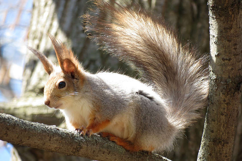 ������� �� �������� ����� �������  �� PhotoGeek.ru #�������� ���